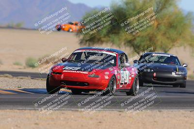 media/Oct-15-2023-Lucky Dog Racing Chuckwalla (Sun) [[f659570f60]]/4th Stint Turn 4 Tree of Life/